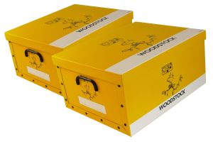 Ordnungsboxen Deko Karton 2er Set Box Clip Woodstock Gelb